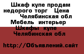 Шкаф купе продам недорого торг › Цена ­ 4 500 - Челябинская обл. Мебель, интерьер » Шкафы, купе   . Челябинская обл.